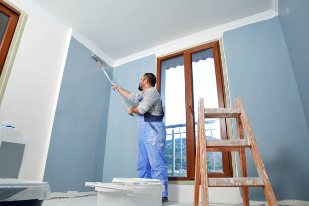 Best Water-Damaged Drywall Repair  in Clermont, FL