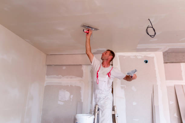 Best Drywall Texturing  in Clermont, FL